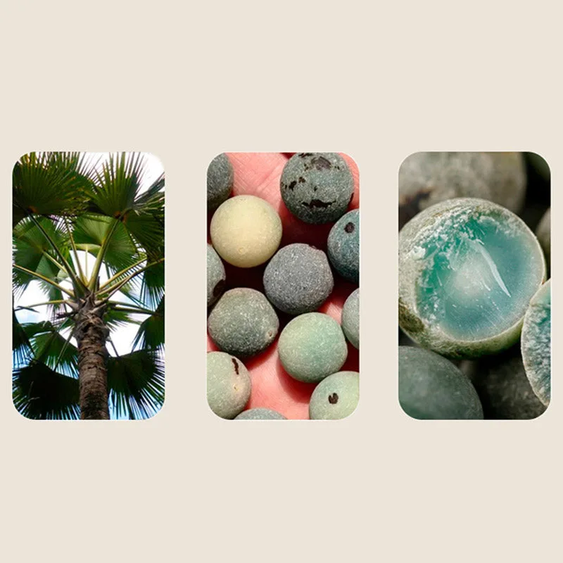 mythstone 108 beads bodhi seed blessing meditation bracelet mala mythstone 108 beads bodhi seed blessing meditation bracelet mala