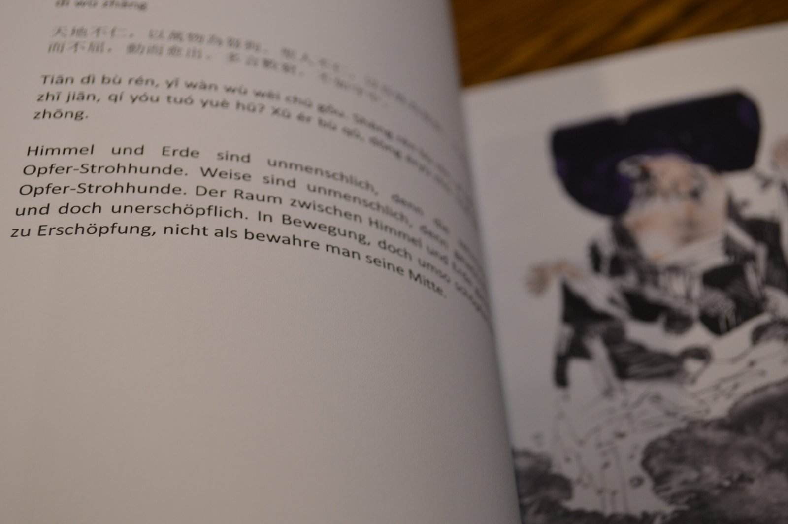 lao zi – dao de jing ***special limited edition lao zi – dao de jing ***special limited edition